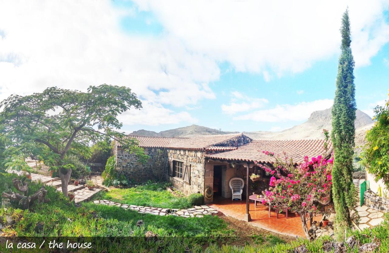 Live Finca San Miguel ซานมิเกลเดียโบนา ภายนอก รูปภาพ
