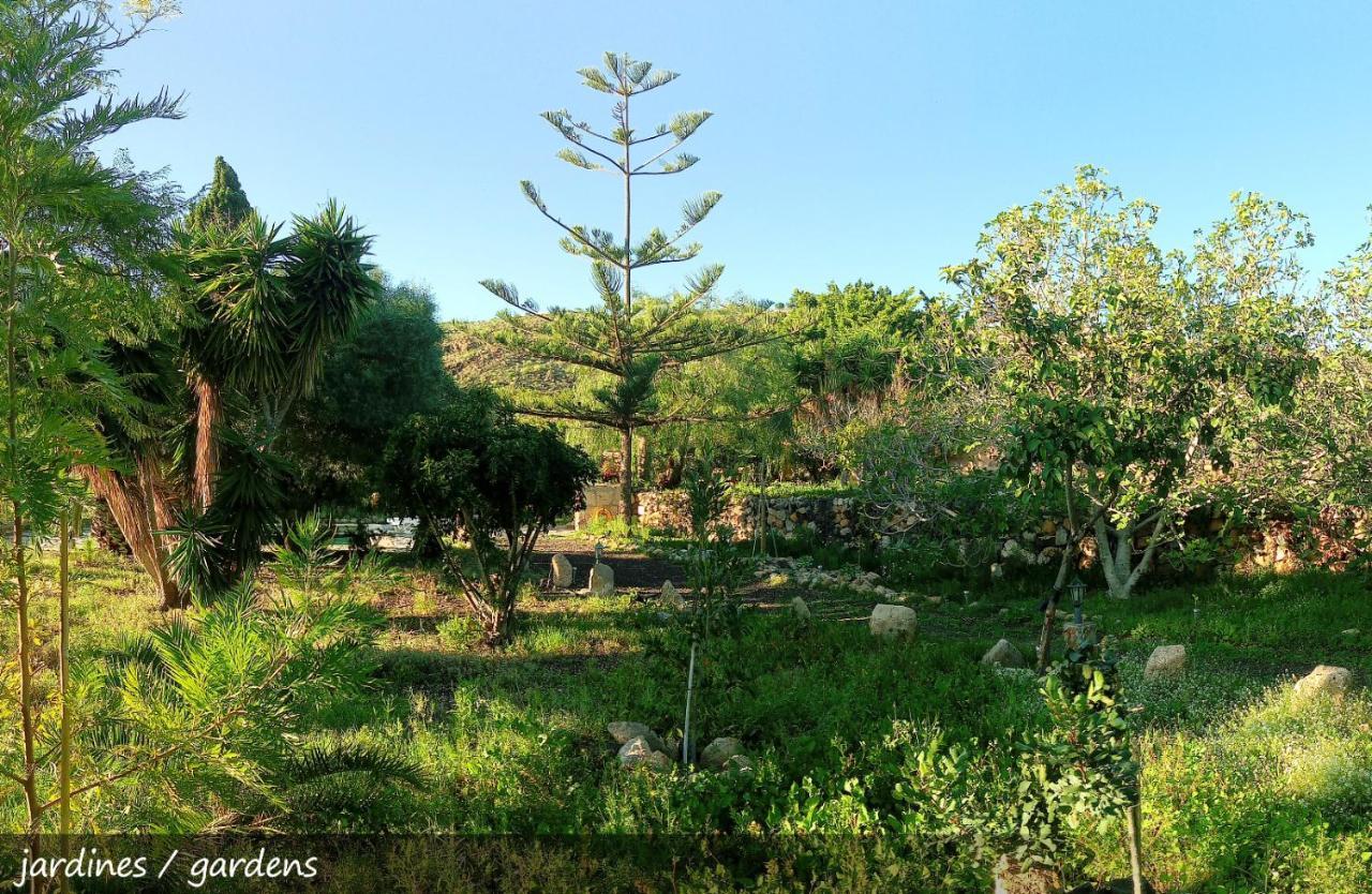 Live Finca San Miguel ซานมิเกลเดียโบนา ภายนอก รูปภาพ